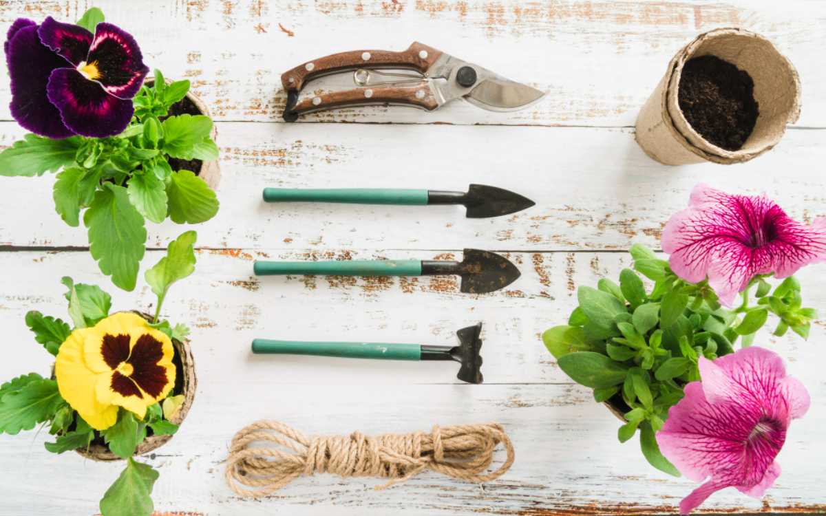 A Beginner’s Guide to Must-Have Gardening Tools